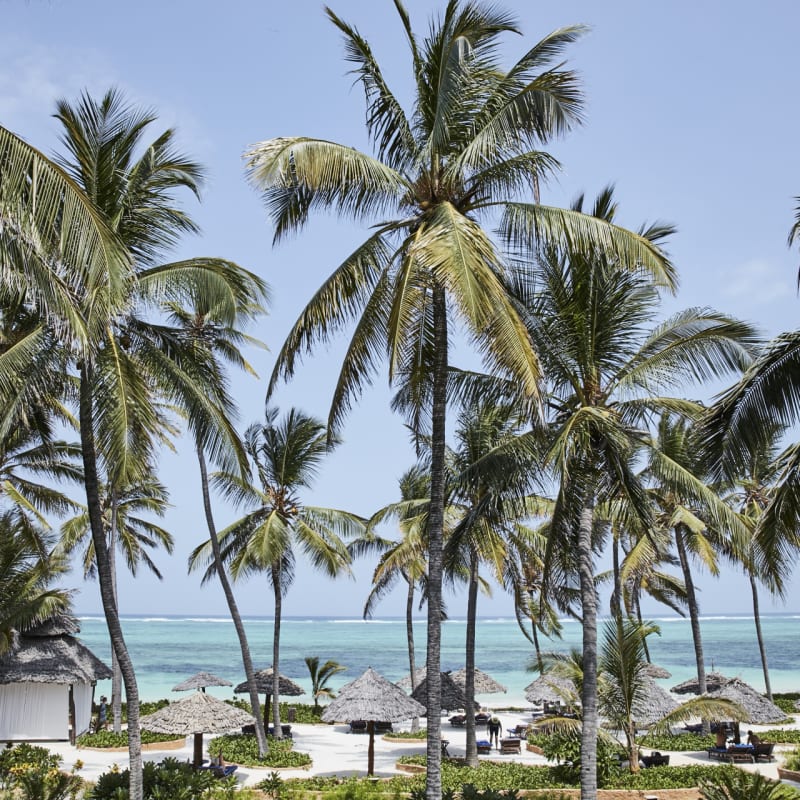 Beach view 