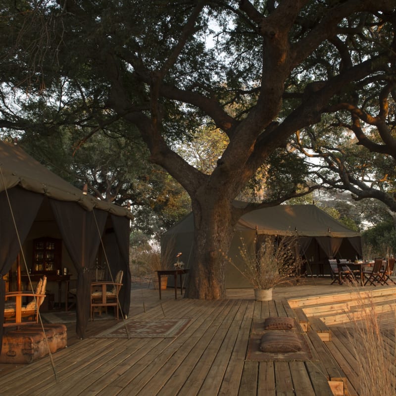 Main Camp 