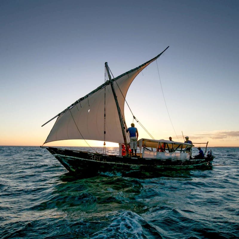 Dhow experience 