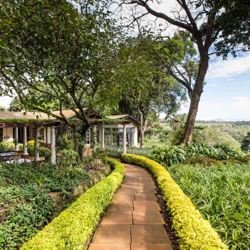 Gibb's Farm- 15