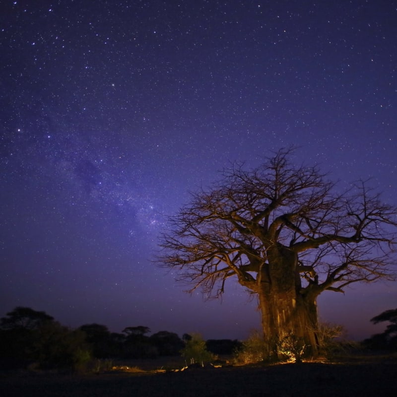 Under the stars  