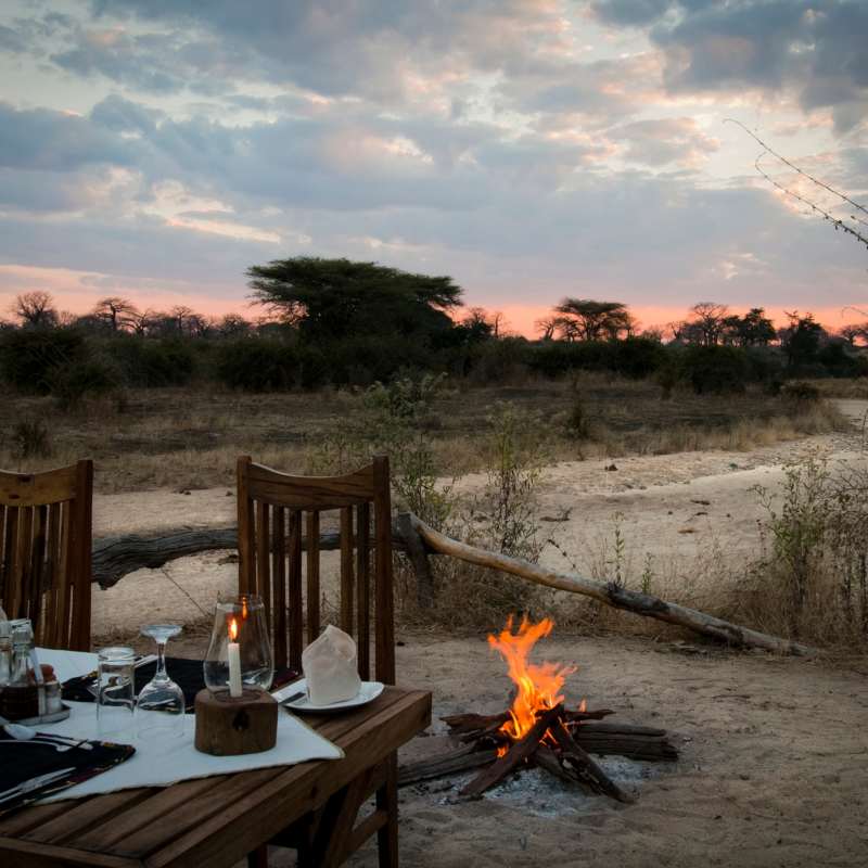 Kigelia Ruaha- 5