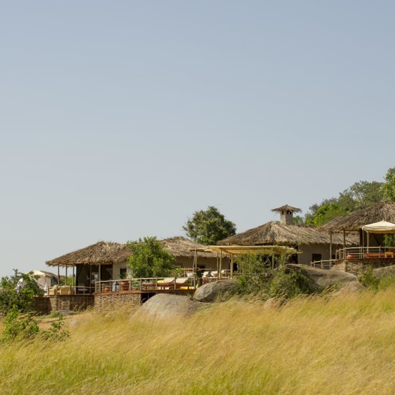 Tucked into the trees - Mkombe's House at Lamai