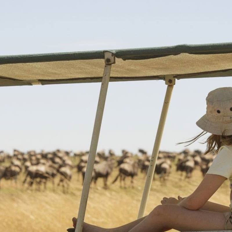 Family game drive - Mkombe's House at Lamai