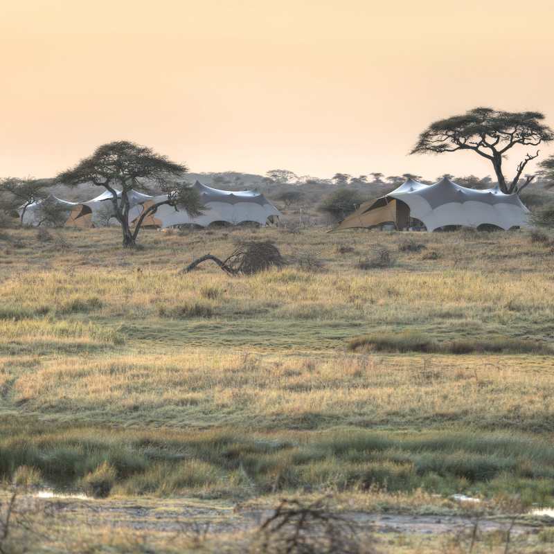 Namiri Plains Camp- 32