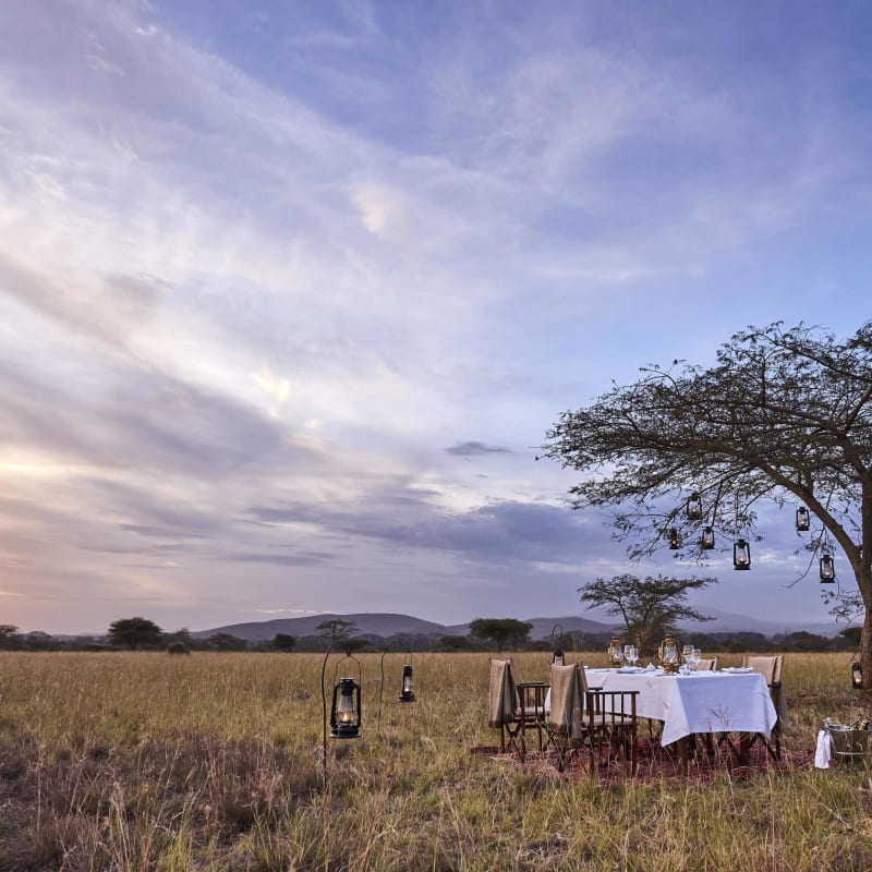 Nyasi bush dinner 
