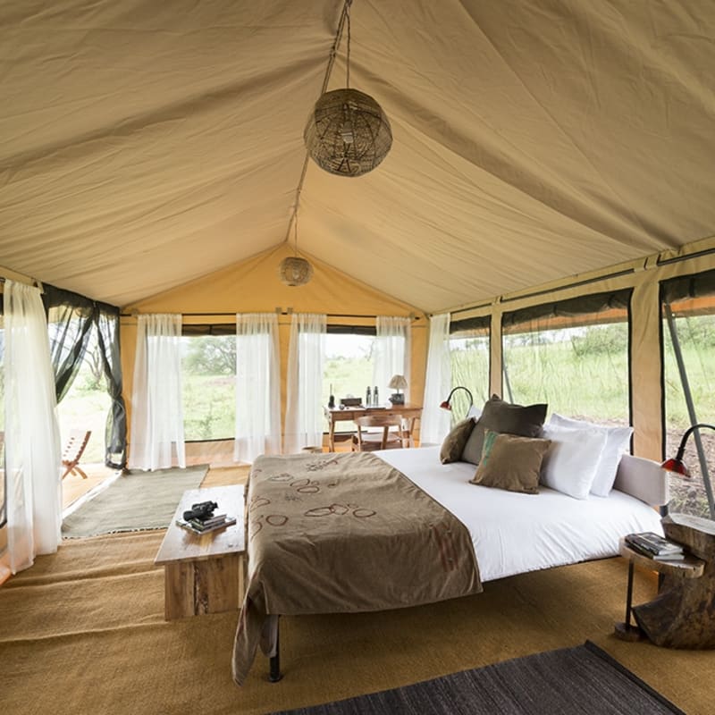 Interior Tent 