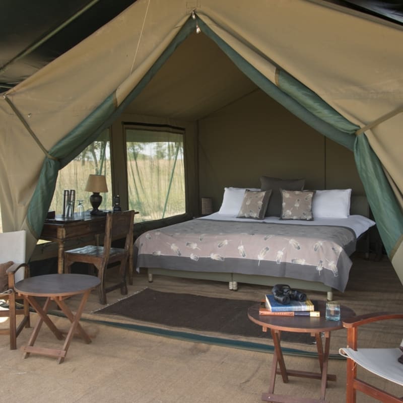 Tent 