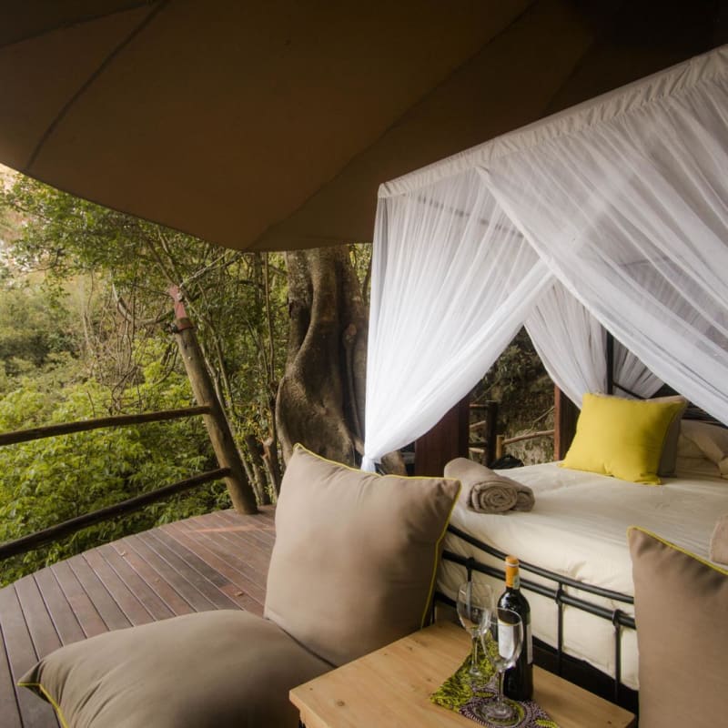 Treehouse sleepout - Rubondo Island Lodge