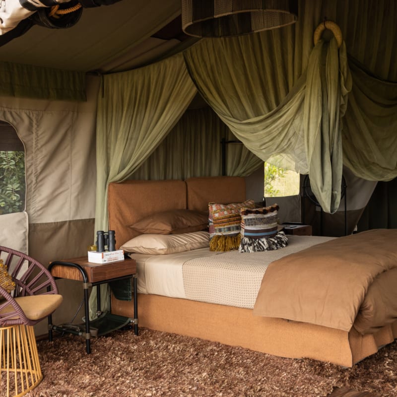 Tent 