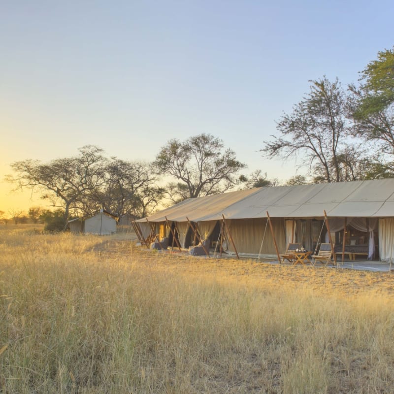 Family tent exterior - Ubuntu Camp 
