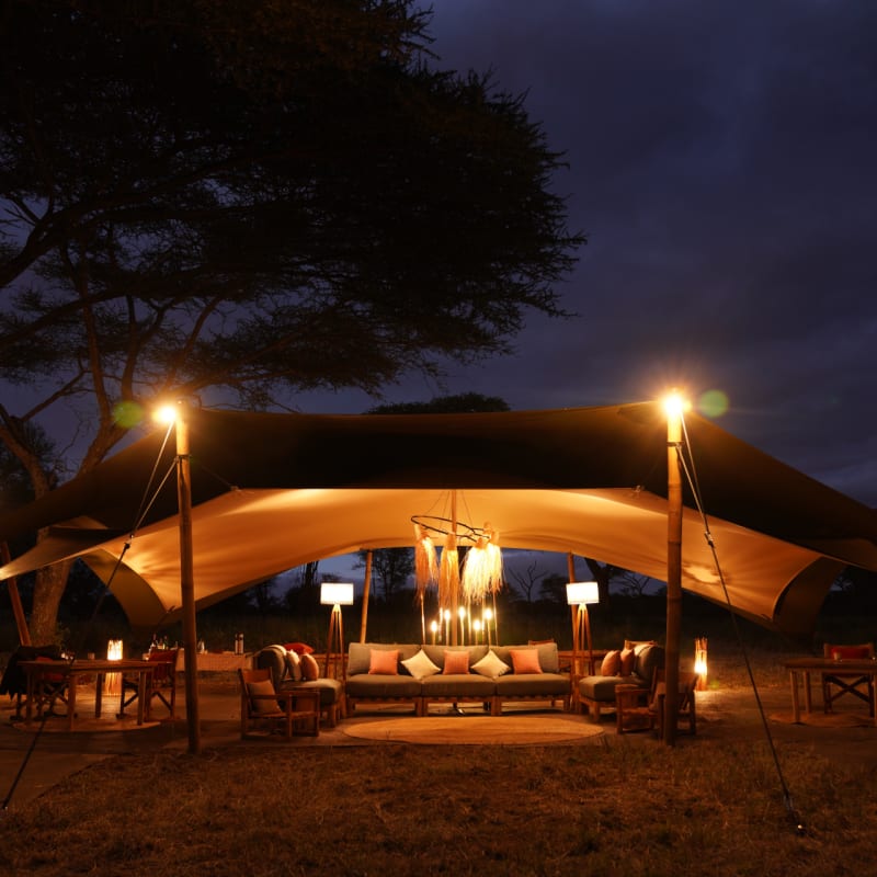 Wayo Camp 