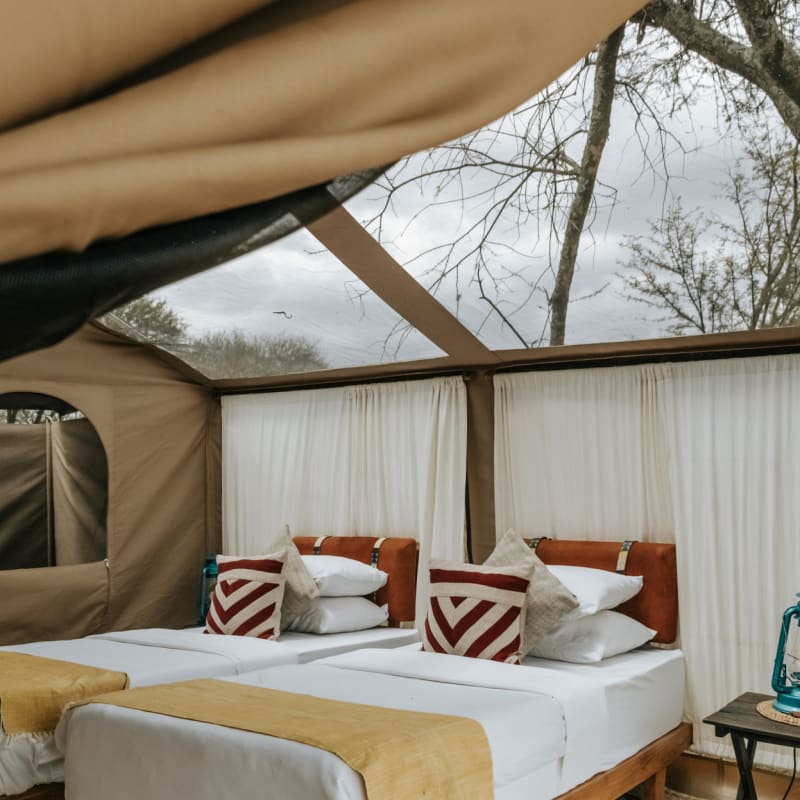 Tent 