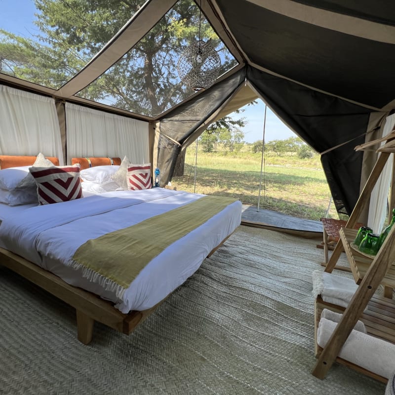Tent bed 