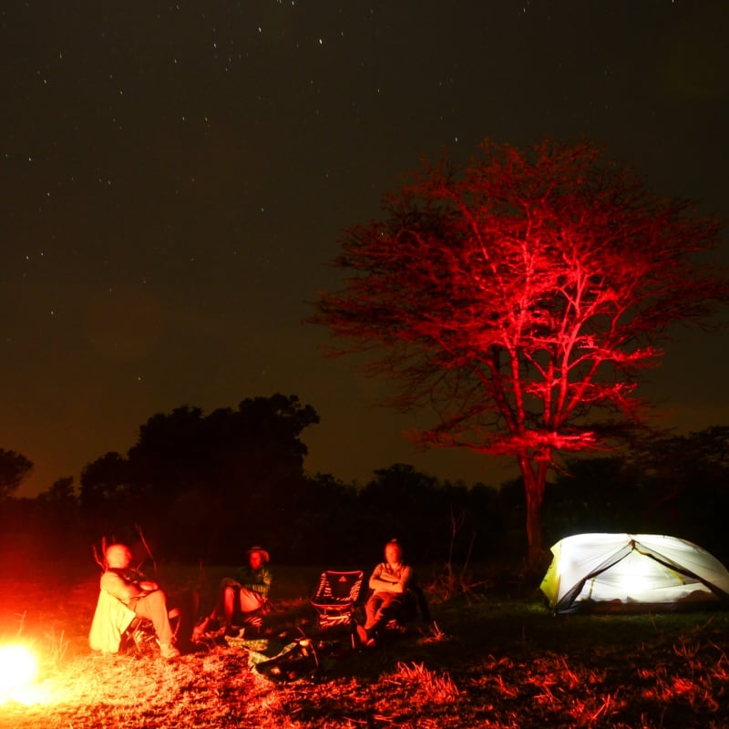Around the campfire 