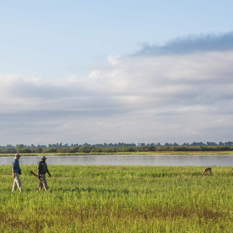 Walking Safari in the Selous 