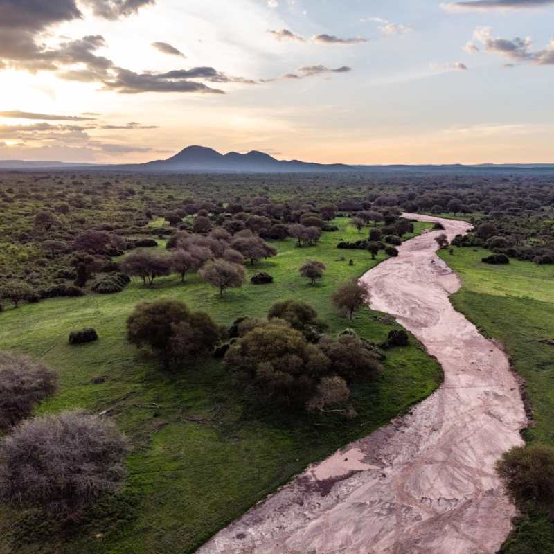 Ruaha National Park 