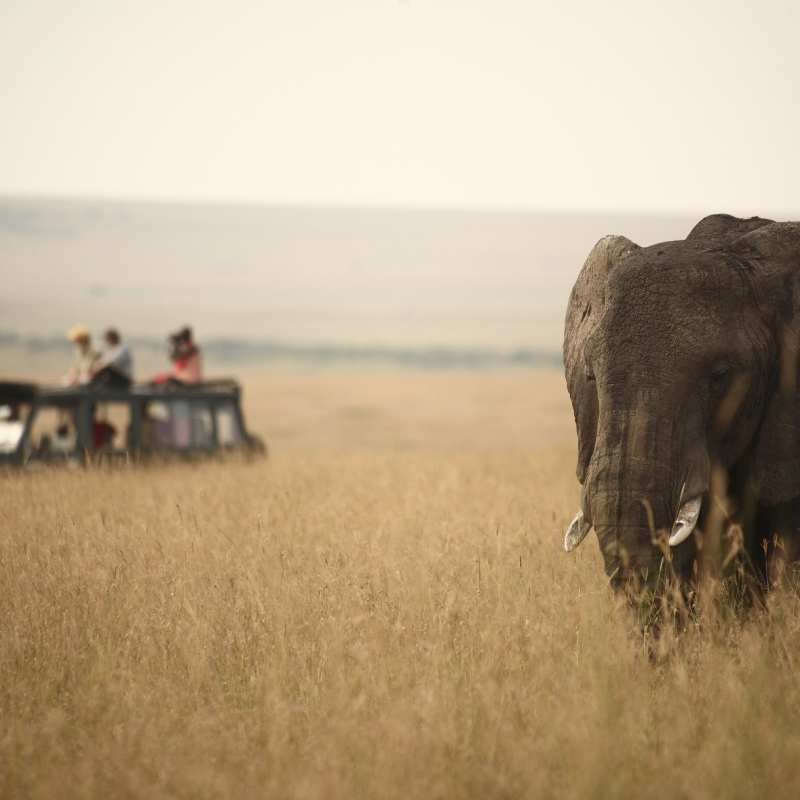 Rekero Camp safari 