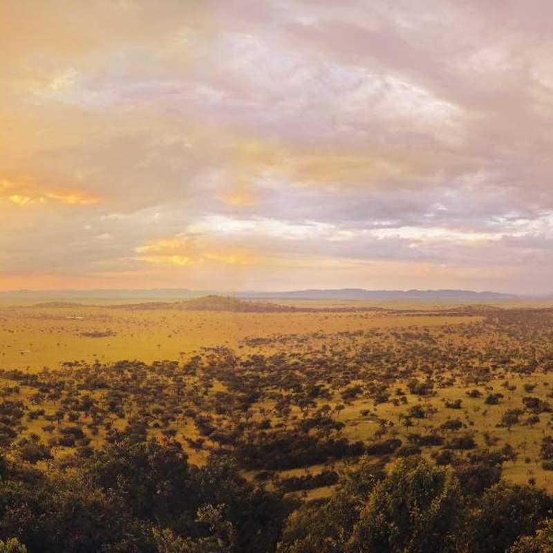 Sunrise over The Serengeti