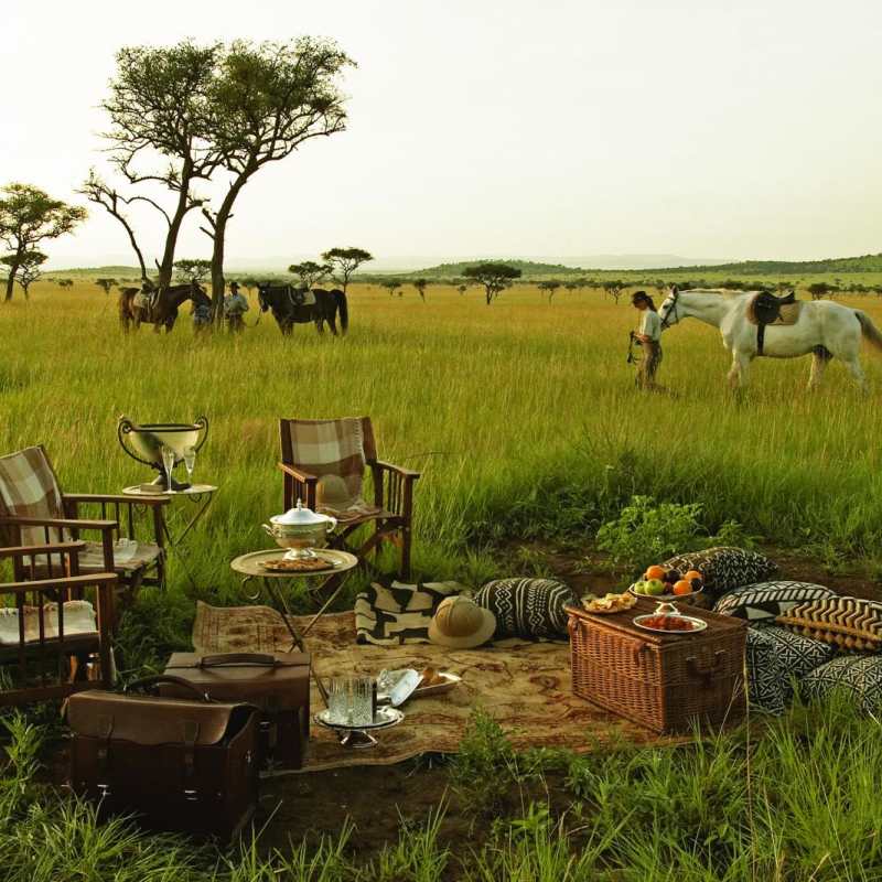 Picnic from Faru Faru Lodge  - Scott Dunn's Flagship Tanzanian Experience