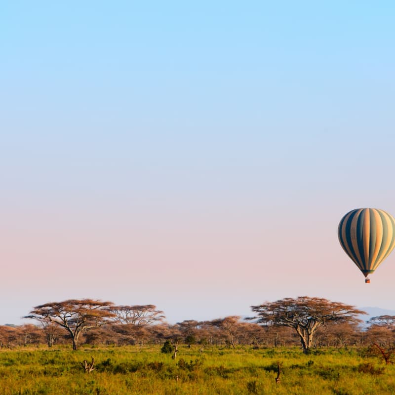 Ruaha hot air balloon