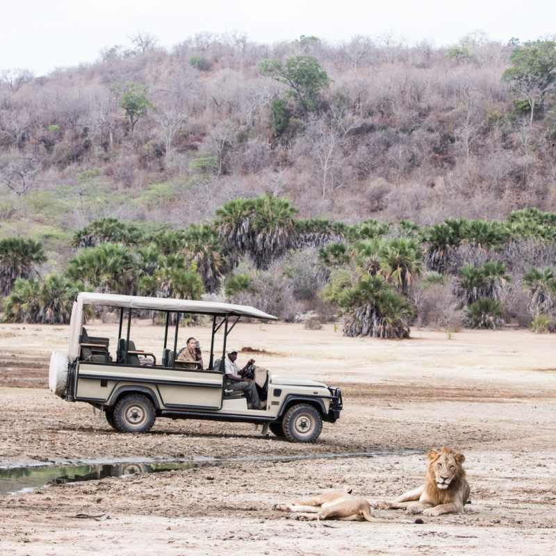 Game drives in the Selous 