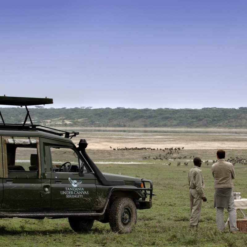 Game drive - Serengeti under Canvas
