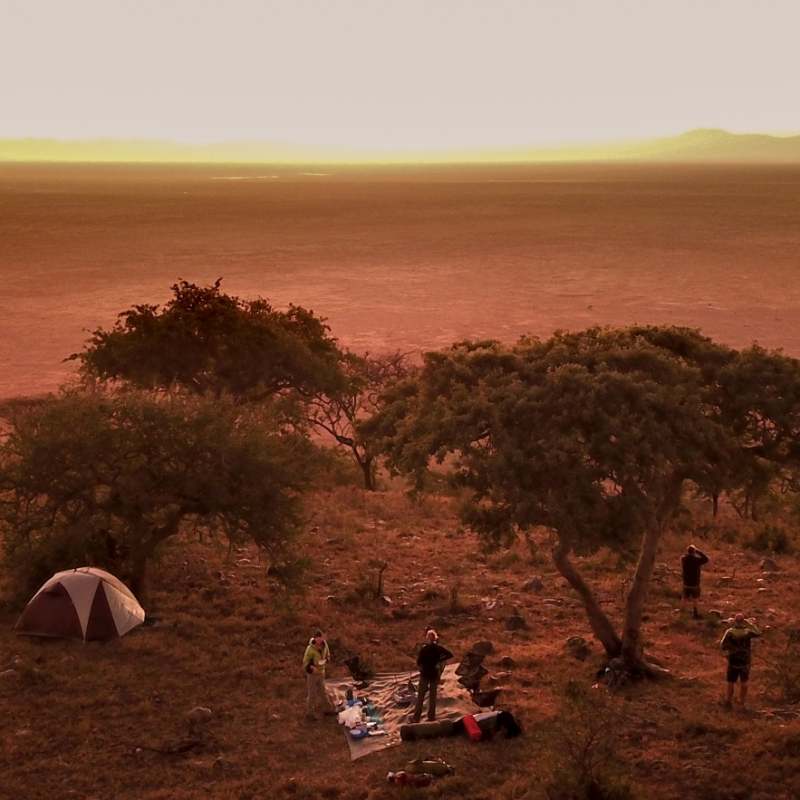 Fly camping 