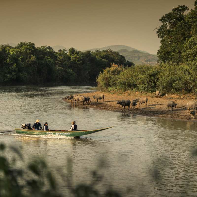 Four Seasons Tented Camp Golden Triangle- 14