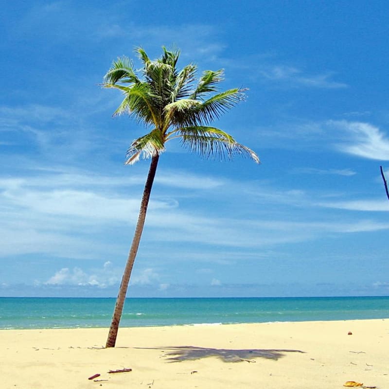 Thai Beach 