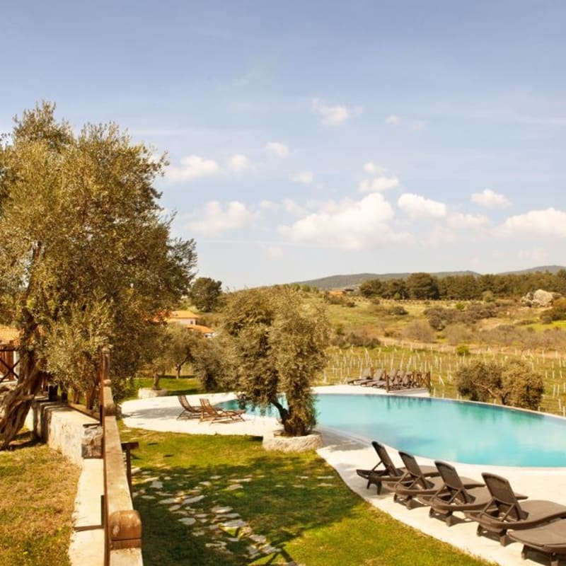 Pool and view 