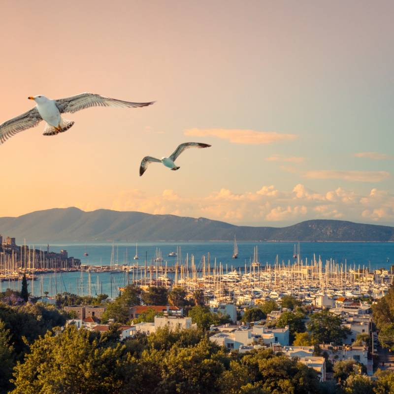 Bodrum Harbour