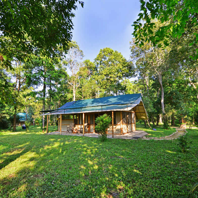 Ishasha Wilderness Camp- 24