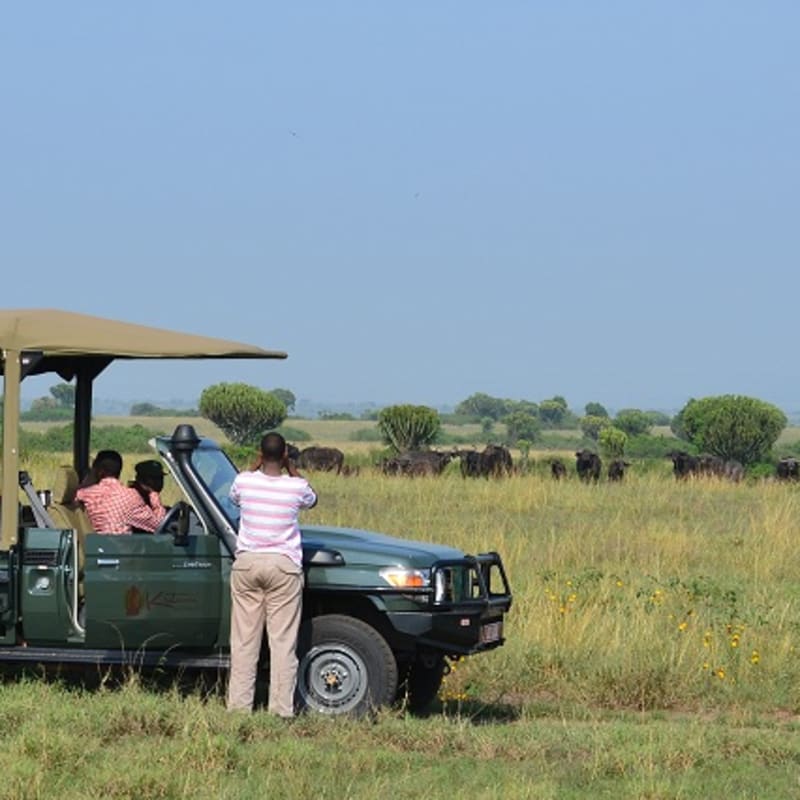 Game Drive - Katara Lodge