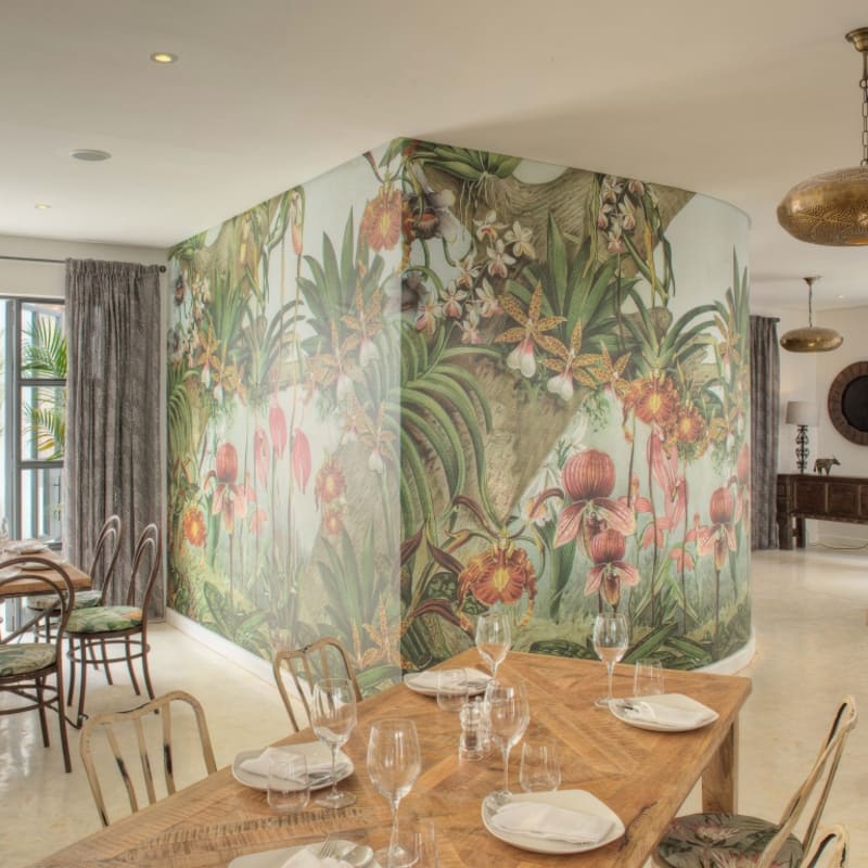 Latitude 0 dining room 