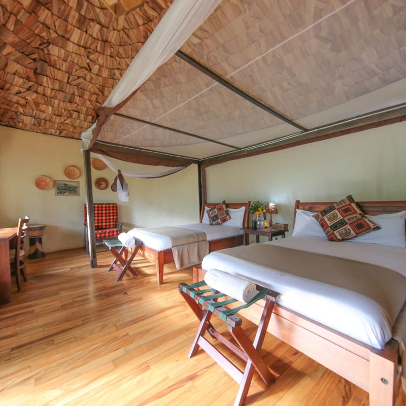 Superior suite - Mahogany Springs Safari Lodge