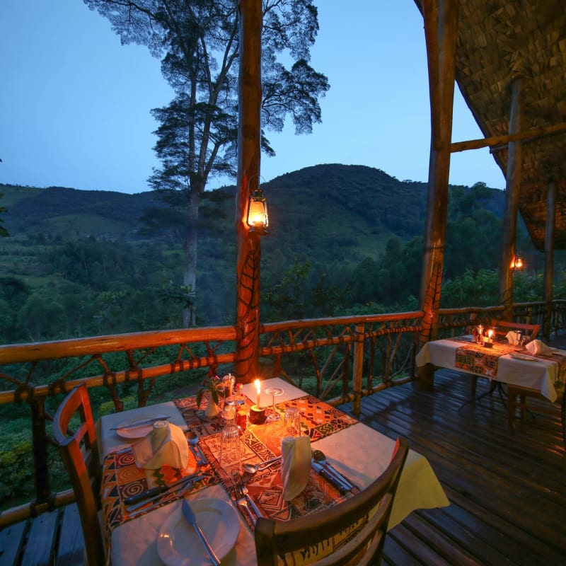 Dinner on the terrace - Mahogany Springs Safari Lodge