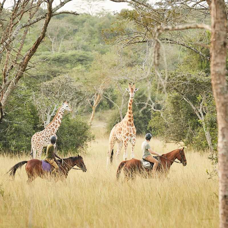Mihingo Lodge- 32
