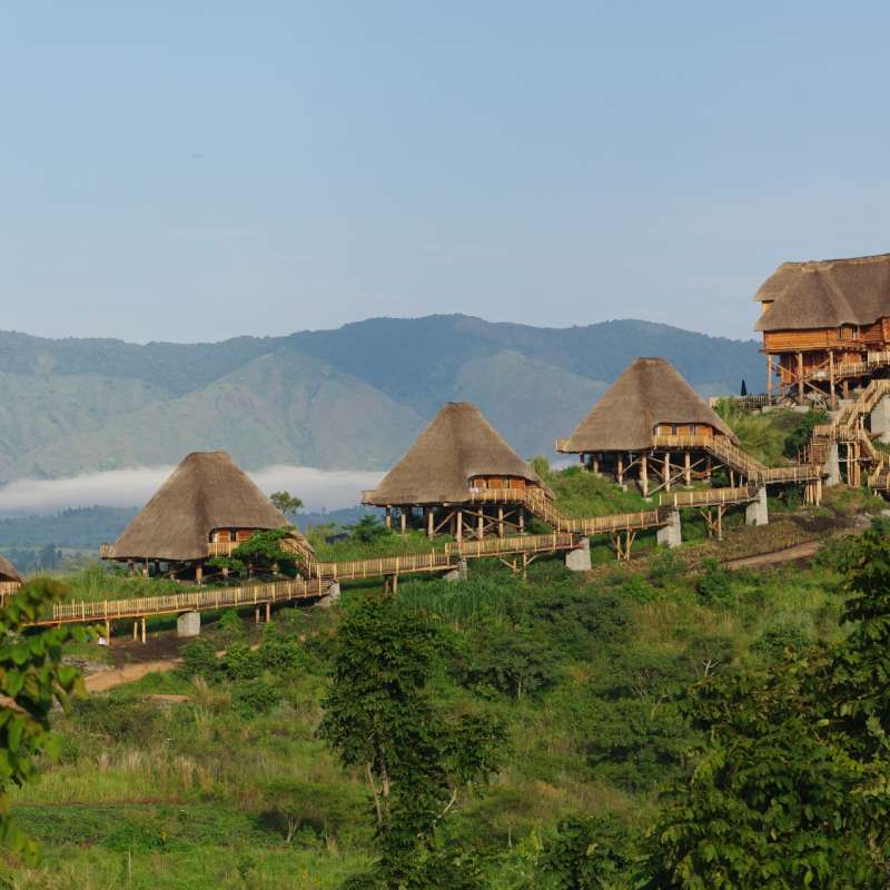 Kyaninga Lodge  - The Wonders of Western Uganda