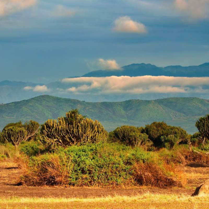 Queen Elizabeth National Park  