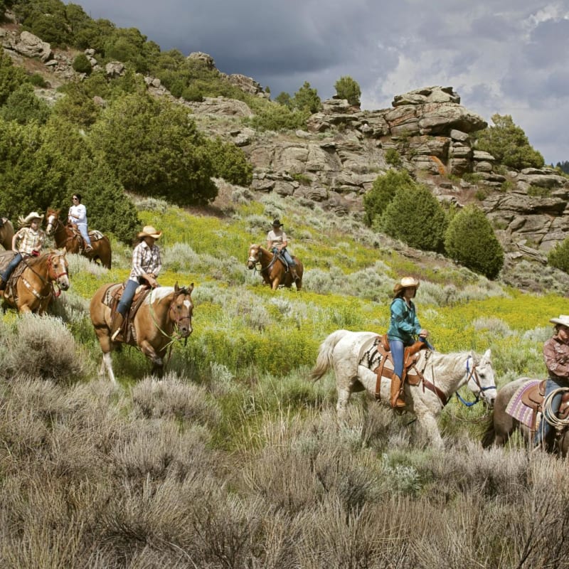 Horseback riding  - Brush Creek Ranch