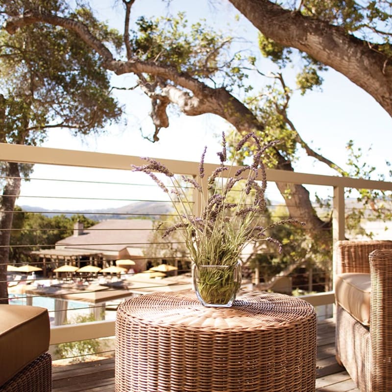 Relax in the sunshine  - Carmel Valley Ranch