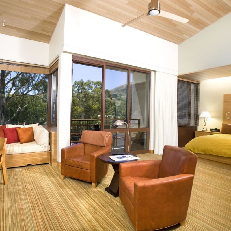 Contemporary Junior Suite