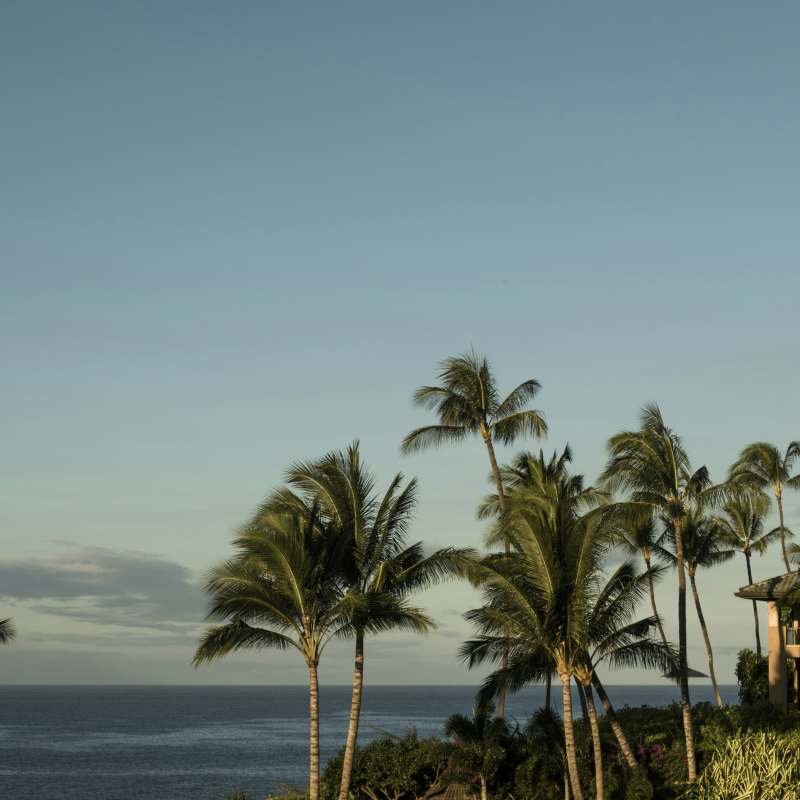 Four Seasons Resort Lanai- 23