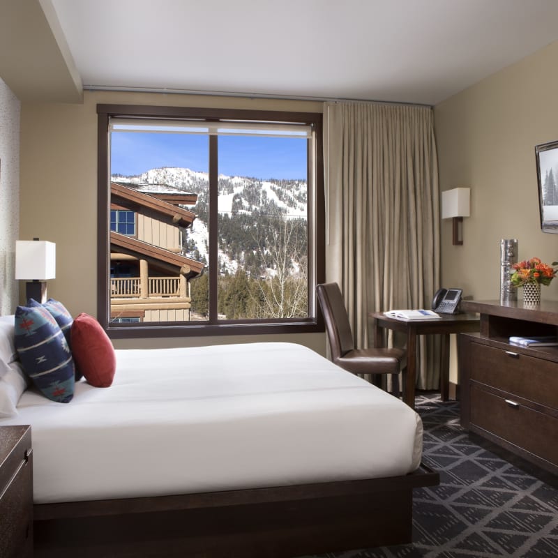 Guest Room with King Bed - Hotel Terra 