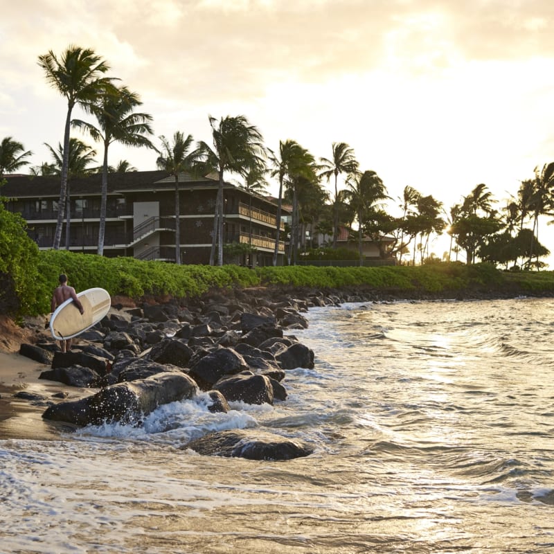 The Beach - Koa Kea