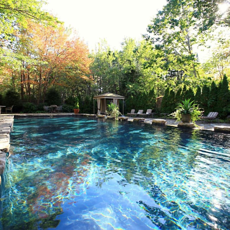 The pool - White Barn Inn