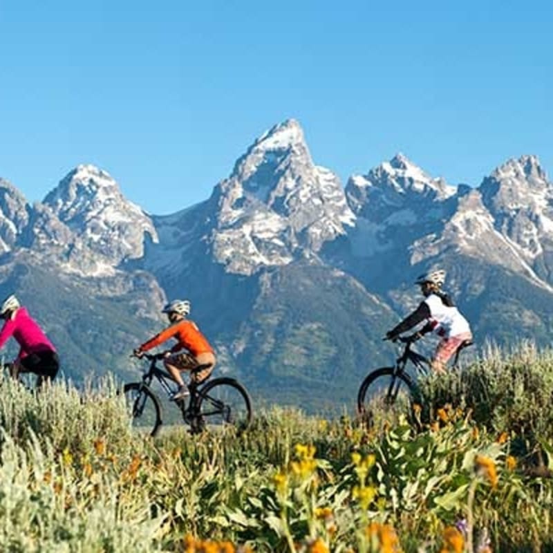Mountain biking in Grand Teton