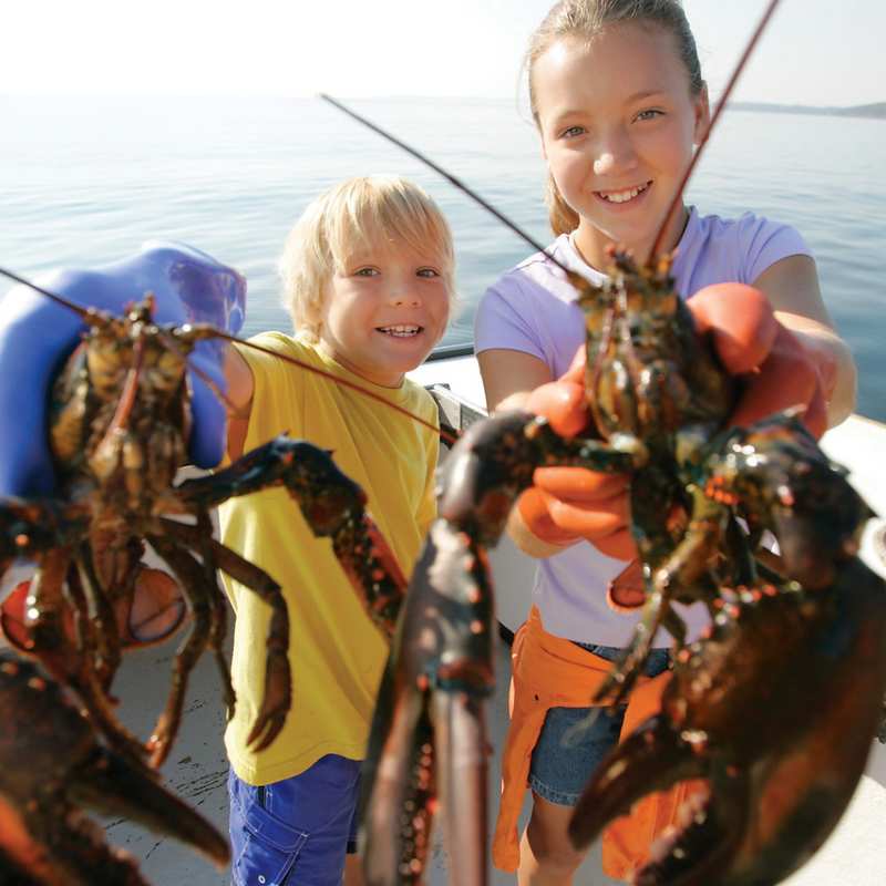 Lobstering - Simply New England Family Summer Holiday 