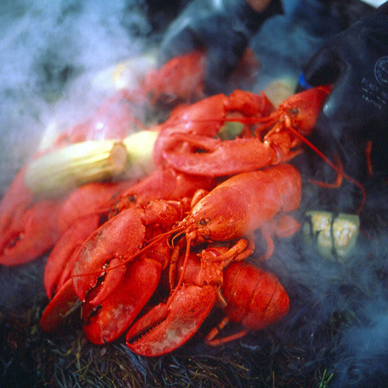 Lobster Yard Bake - Simply New England Family Summer Holiday 